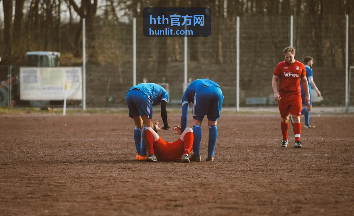 hth官方网服务方案交付流程示意