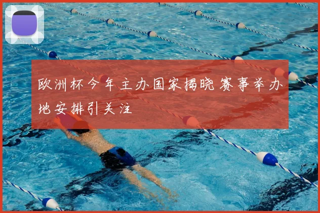 欧洲杯今年主办国家揭晓 赛事举办地安排引关注