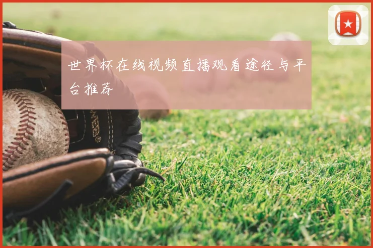 世界杯在线视频直播观看途径与平台推荐